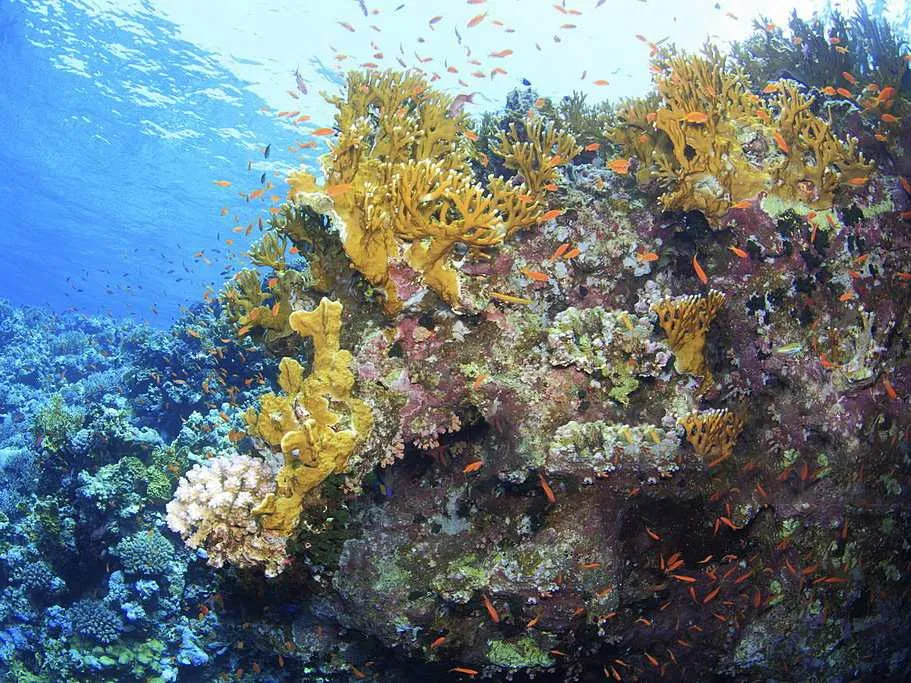 Best Time for Komodo Island Trips – Insider Guide