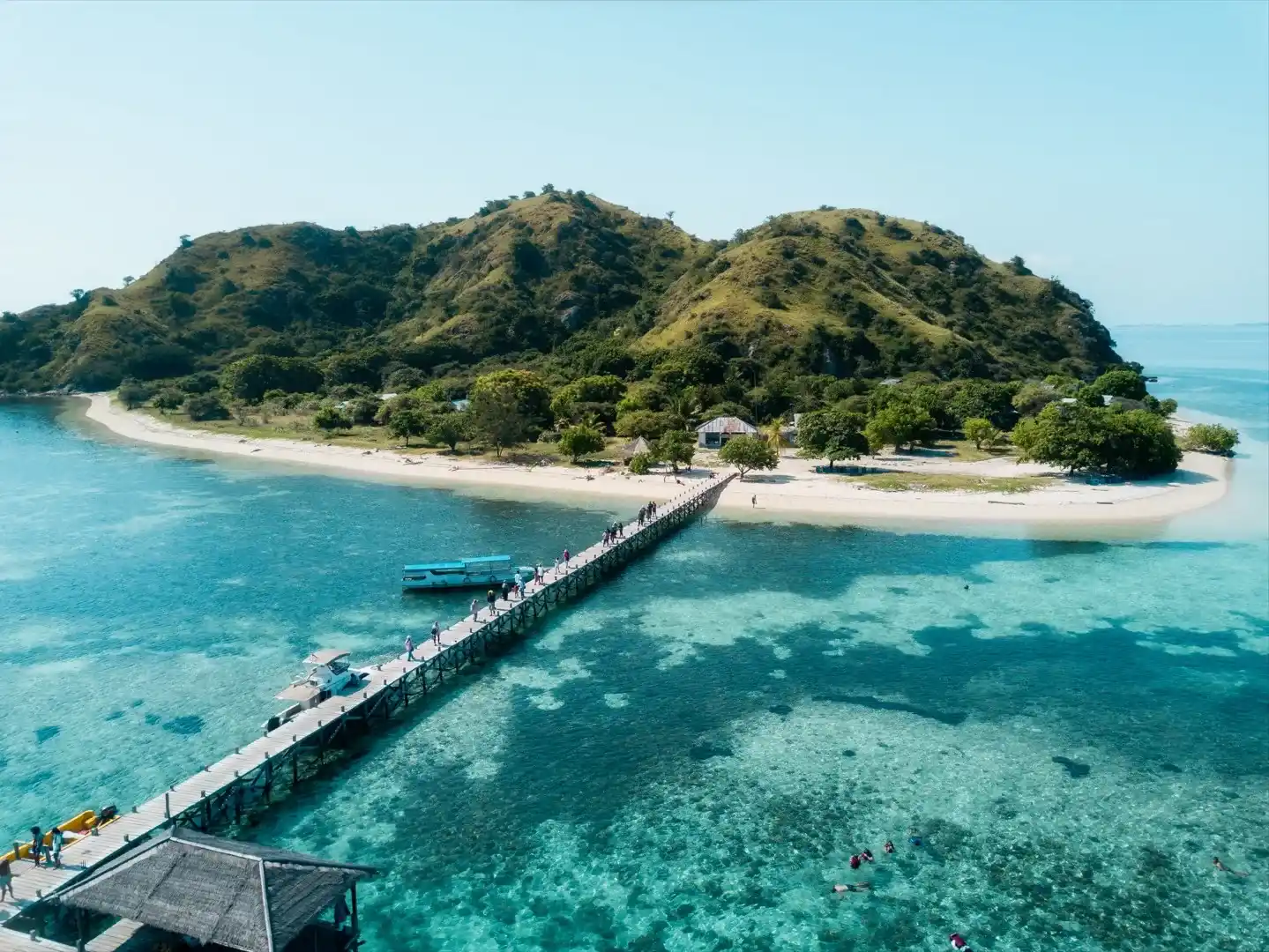 Rinca Island Komodo Dragon