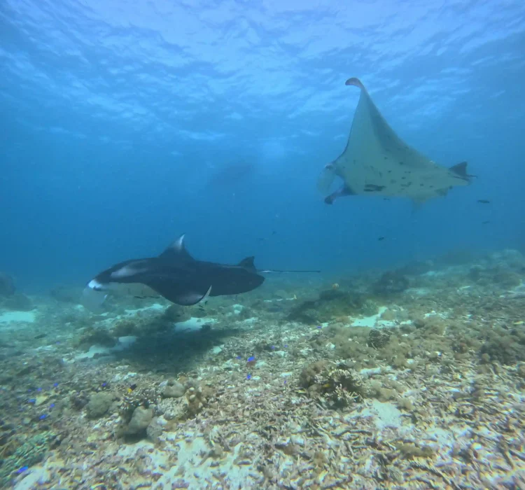 GOPR7912_11zon_11zon