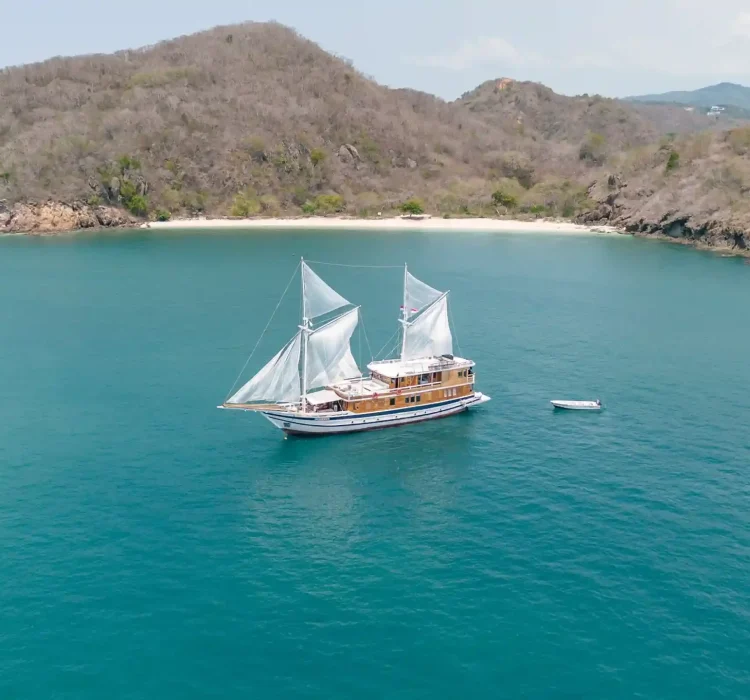 drone1-16x9_11zon_11zon