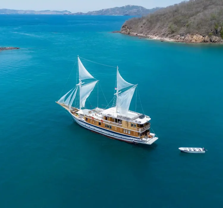 drone3-16x9_11zon_11zon